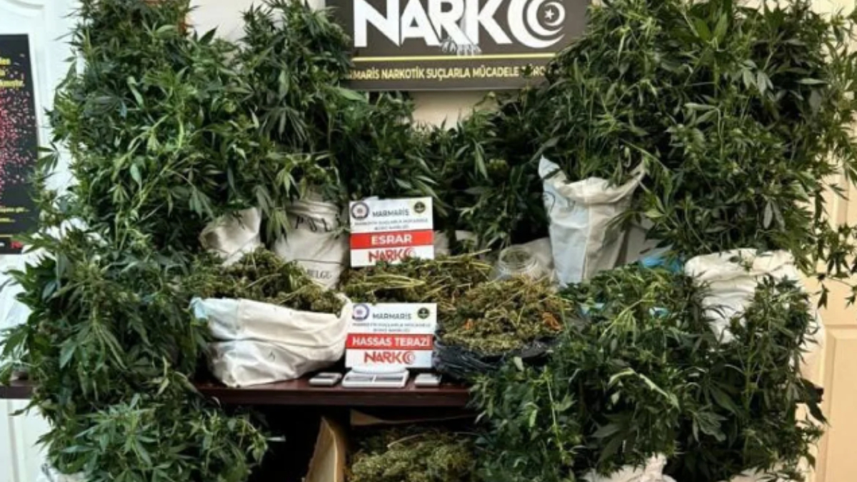 Muğla'da 'çabuk' adlı suç örgütüne operasyon! 7 kişi gözaltında