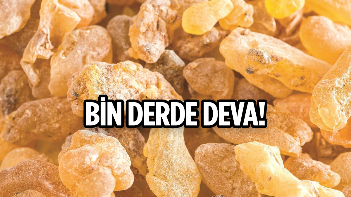 Asyalılar bile bilmiyor! Gece süren, o dertlerden kurtuluyor...