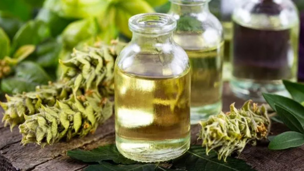 Bu iki yağı karıştırıp vücudunuza sürün, bel fıtığı ağrılarına son verecek...