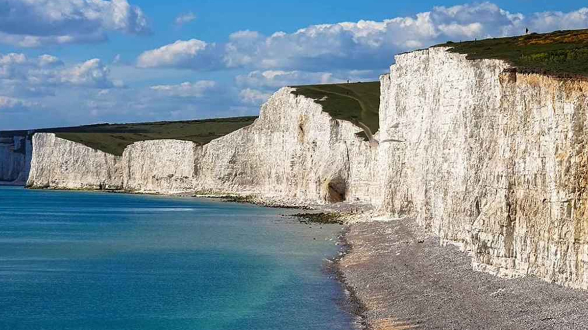 Bulan çıkmadı! Resimde gizlenen kuşu 10 saniyede tespit edin, kendinizi ajan sayın