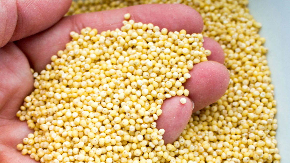 Bin derde bin deva! Düzenli olarak yiyenin, vücudu resetleniyor…