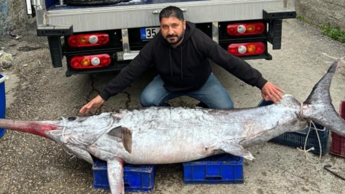 Adana'da dev kılıç balığı yakaladılar: 30 bin TL'ye satıldı