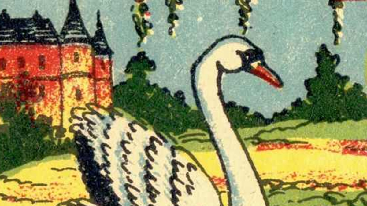 Resimdeki balığı 7 saniyede tespit eden, gizli hafiye sayılıyor