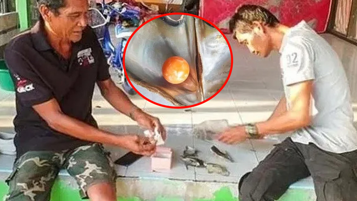 Böylesi görülmedi! Balık tutmaya gittiler ağlarına milyonlar takıldı…