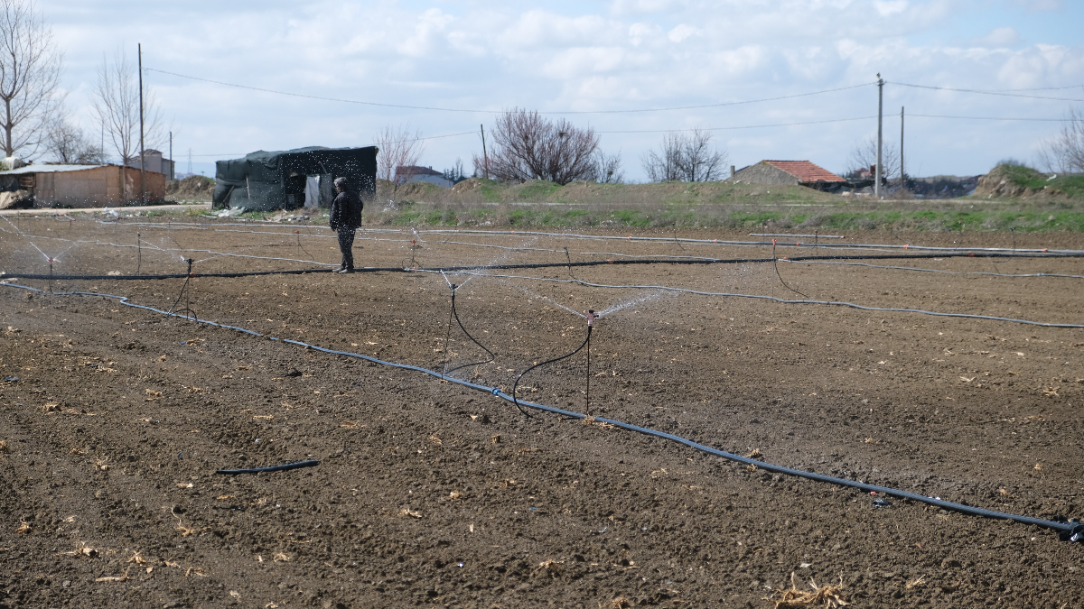 Eskişehir'de çiftçiler en kurak kış nedeniyle tarlalarını 2 ay önceden sulamaya başladı