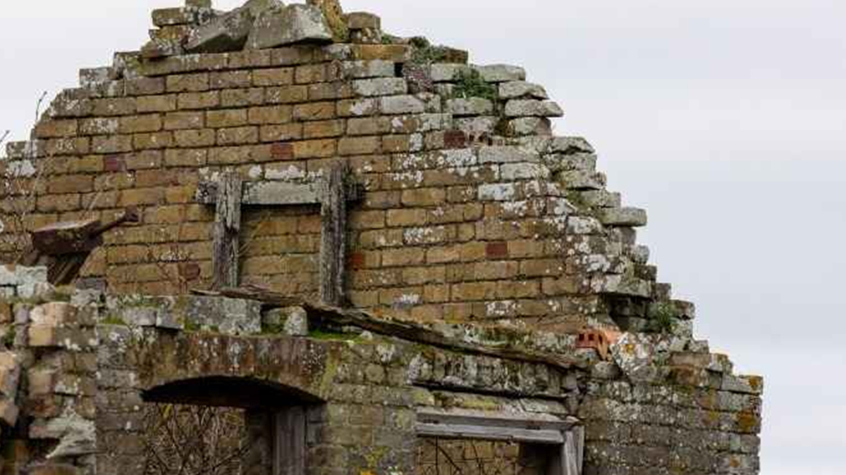 Kimse yapamıyor! Betonların arasında baykuş saklı, sadece şahin gözlüler 10 saniyede bulabilir…