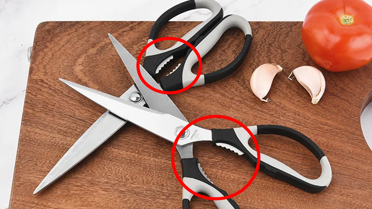 Mutfak makasının ortasındaki tırtıklı alan bakın ne işe yarıyor