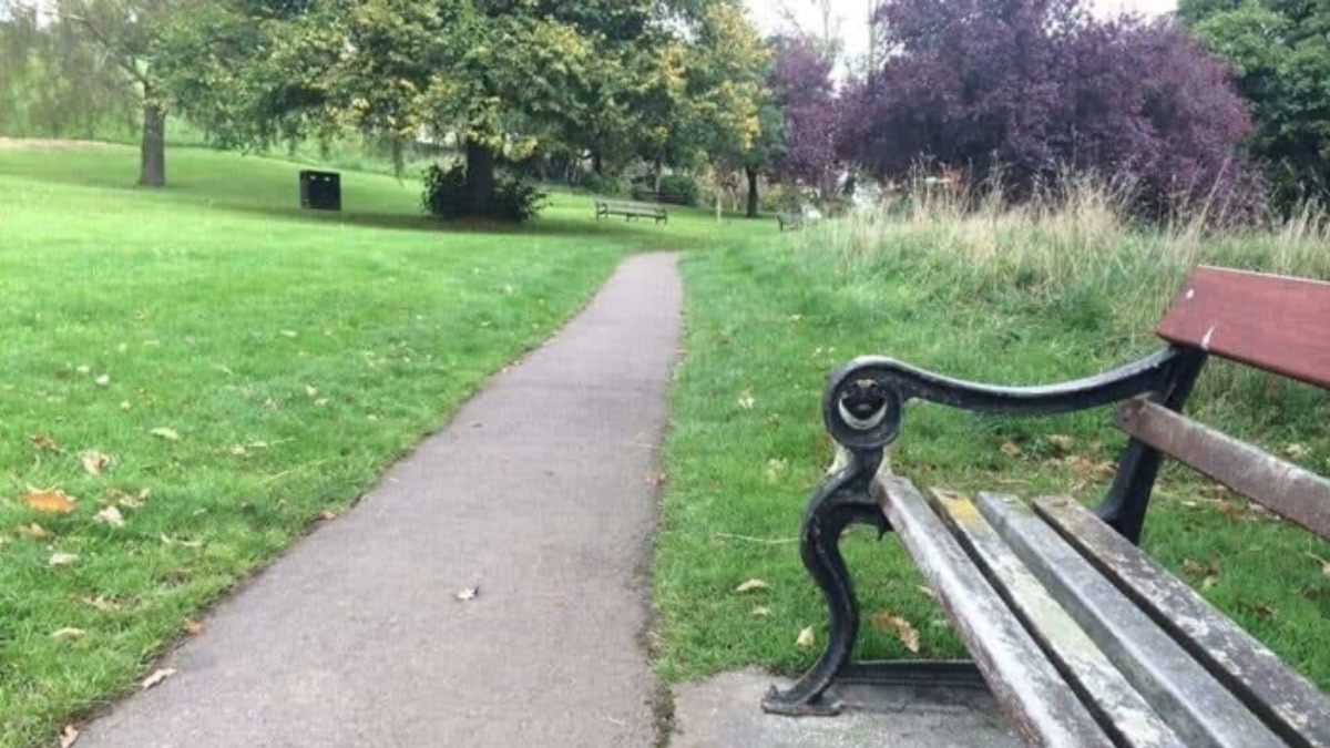 IQ'yu uçuran illüzyon: Parktaki köpeği kimse göremiyor