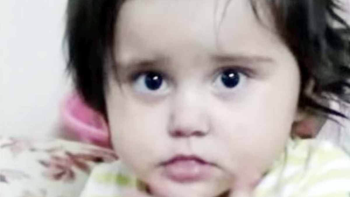 Gaziantep'te cesedi derin dondurucuda bulunan minik Lina'nın davasında karar çıktı