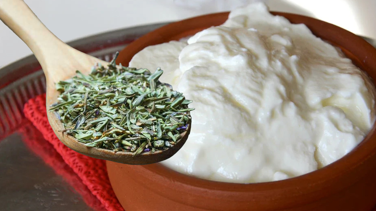 Bir kaşık bile yetiyor! Yoğurdun içine ekleyip yiyin, hafızaya şifa verin