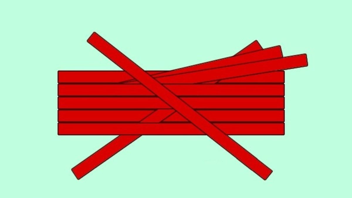 IQ'nuzu test edin: Resimde kaç tane çubuk var? Kimse bulamıyor