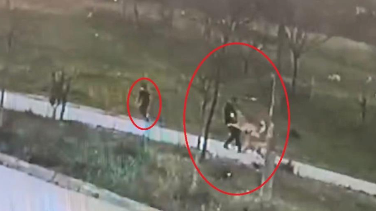 Bursa'da sokak köpeği dehşeti: Çenesi kırıldı 30 dikiş atıldı