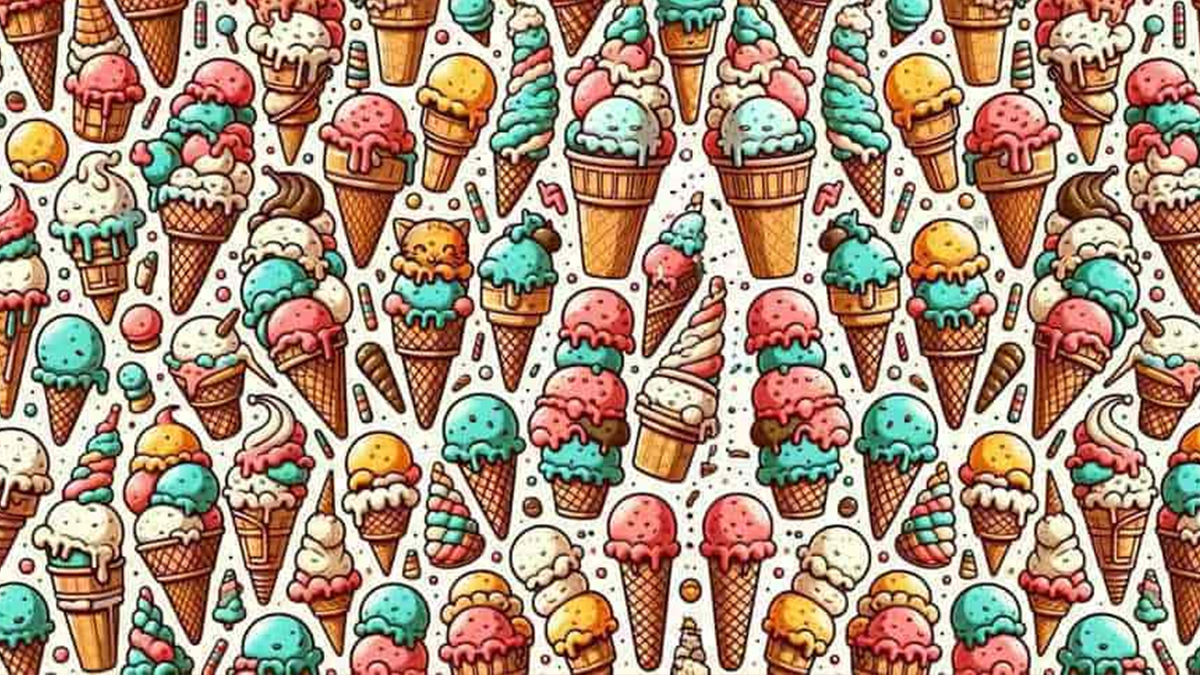 Külahların arasında saklanan kediyi 7 saniyede bulmak için, Einstein zekası gerekiyor