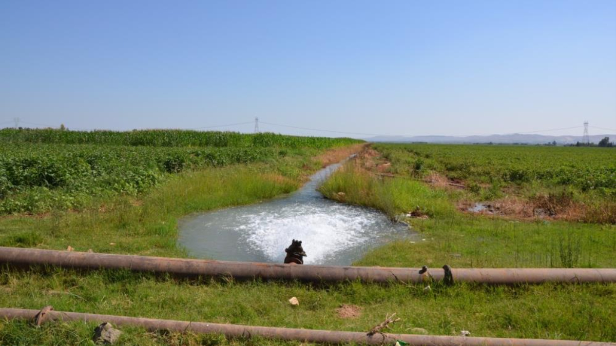 Güneydoğu'da elektrik faturaları kabardı! 18 bin abonenin 27 milyar TL borcu var
