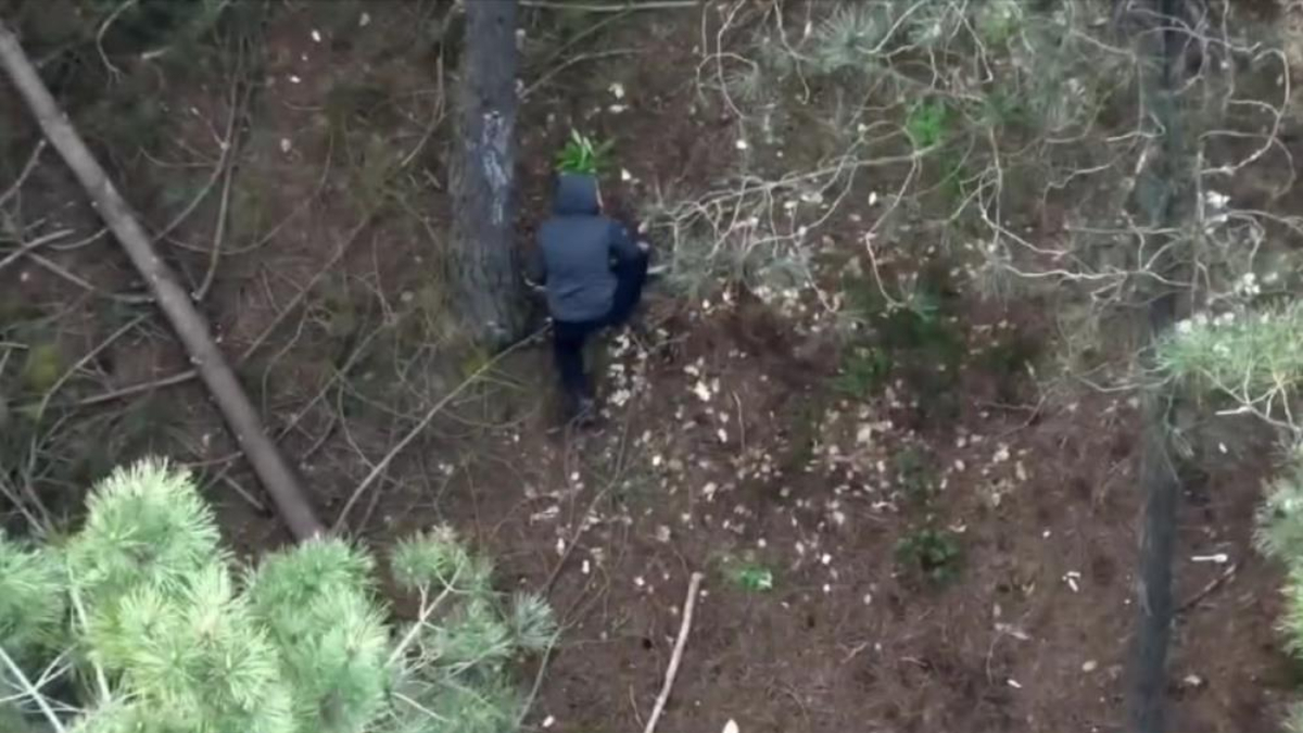 Sultanbeyli'de Pikachu kasklı motosikletli, ormanda saklı uyuşturucuyu alırken yakalandı