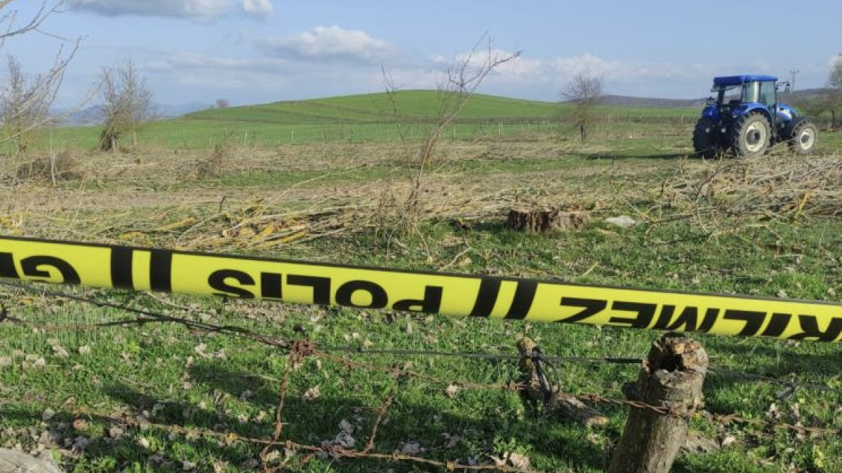 Karabük'te kestiği ağacın altında kalan şahıs öldü
