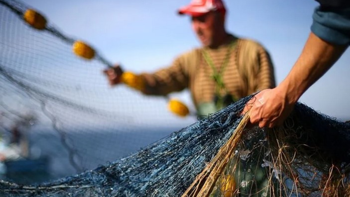 2023-2024 balıkçılık av sezonu 15 Nisan'da bitiyor