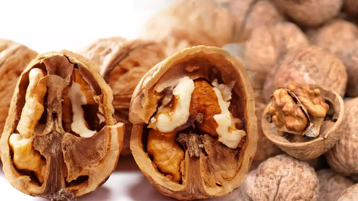 Cevizin içindeki zarı kaynatıp için, o hastalıkların hakkından nasıl geliyor izleyin…
