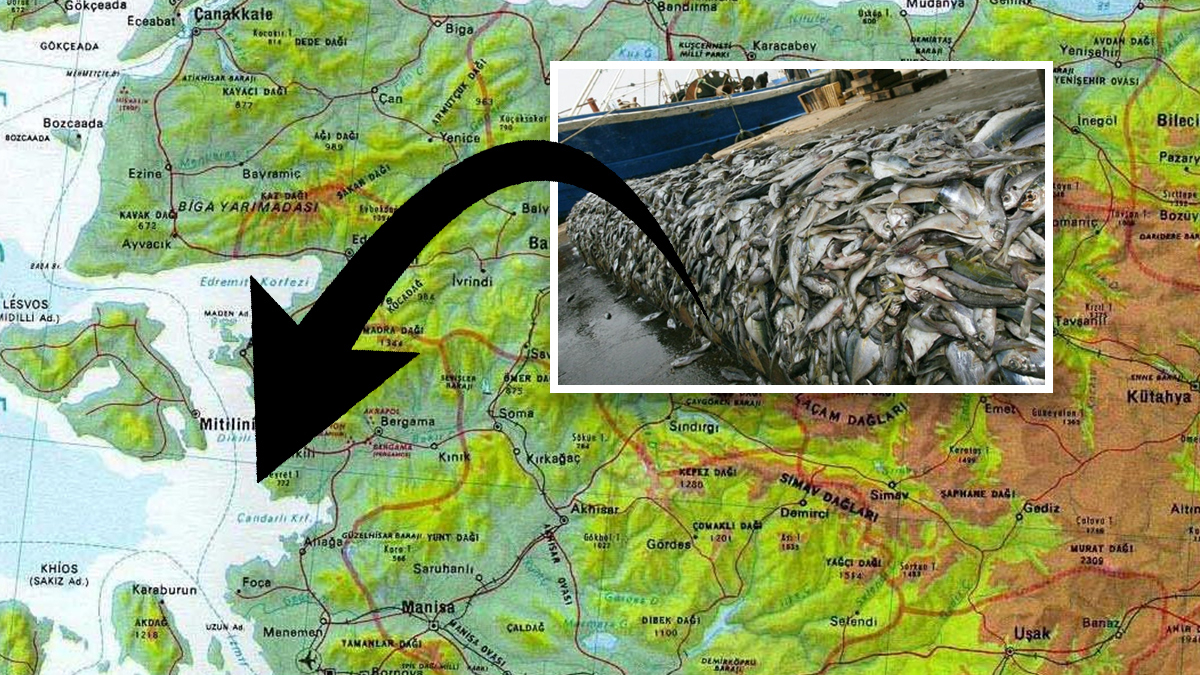 İzmir, Aydın, Muğla… Yasak başladı; Bunu yapan 200 bin lira ceza ödeyecek