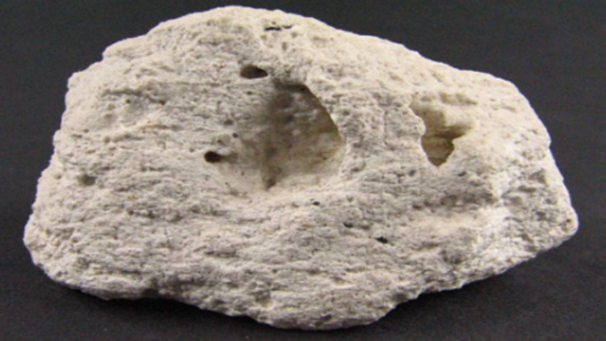 O ilin toprağından fışkırıyor! O madenin 1 gramı servet ediyor….