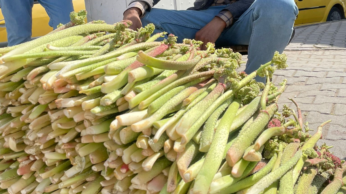 Bitlis’te yayla muzu uçkun tezgahlardaki yerini aldı