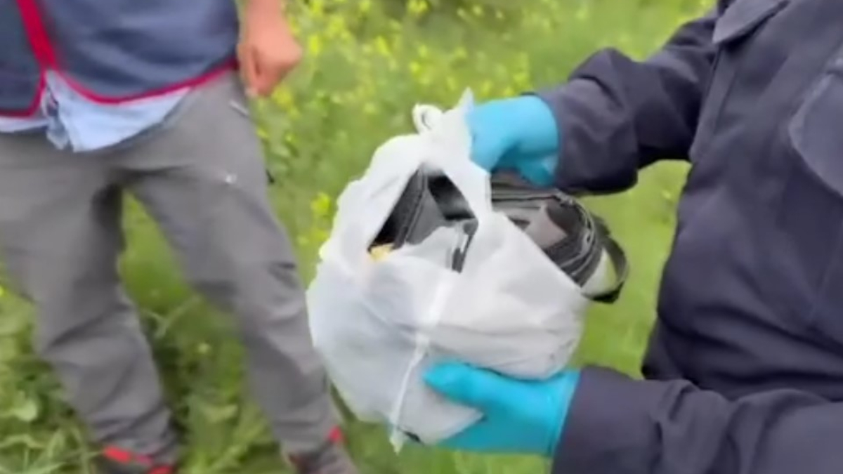 Sakarya'da çalındığı sanılan ziynet eşyası dolu çantayı sahipsiz köpek aldı