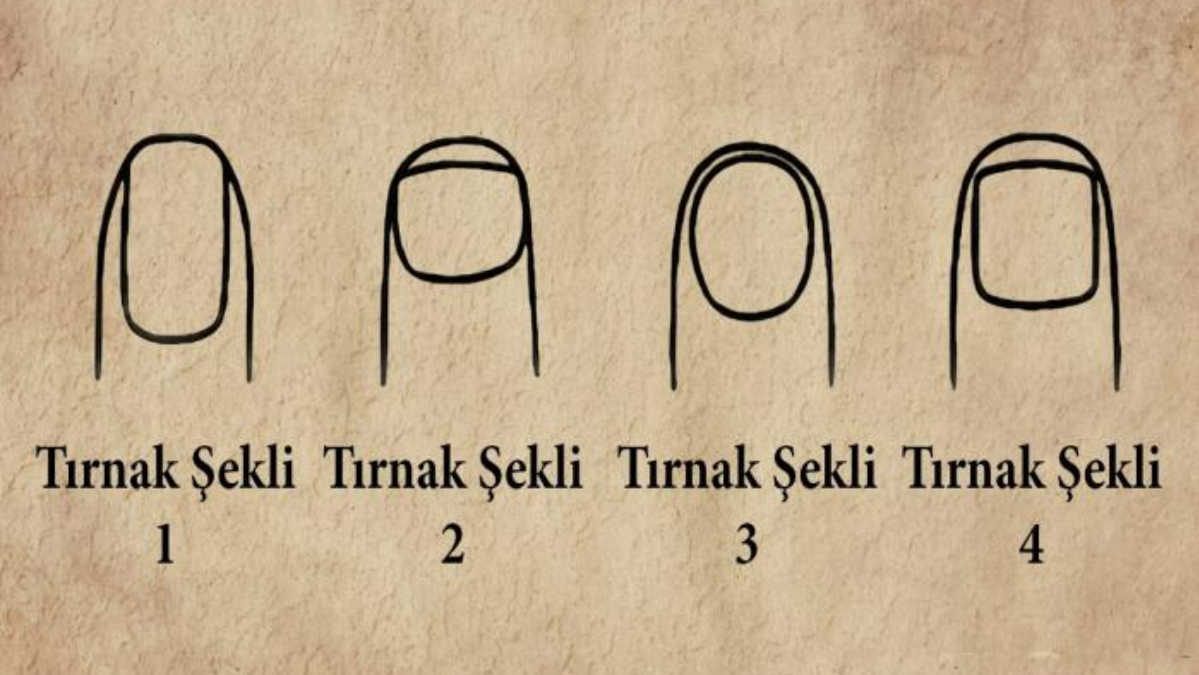 Tırnaklarınızın şekli liderlik özelliklerinizi açığa çıkarıyor! İşte tırnak şekillerine göre kişilik testi…