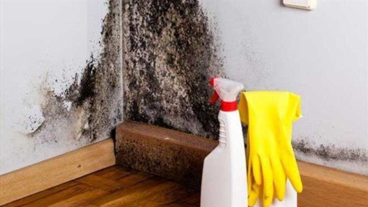 3 yemek kaşığı yetiyor, rutubetin kökünü kazıyor…