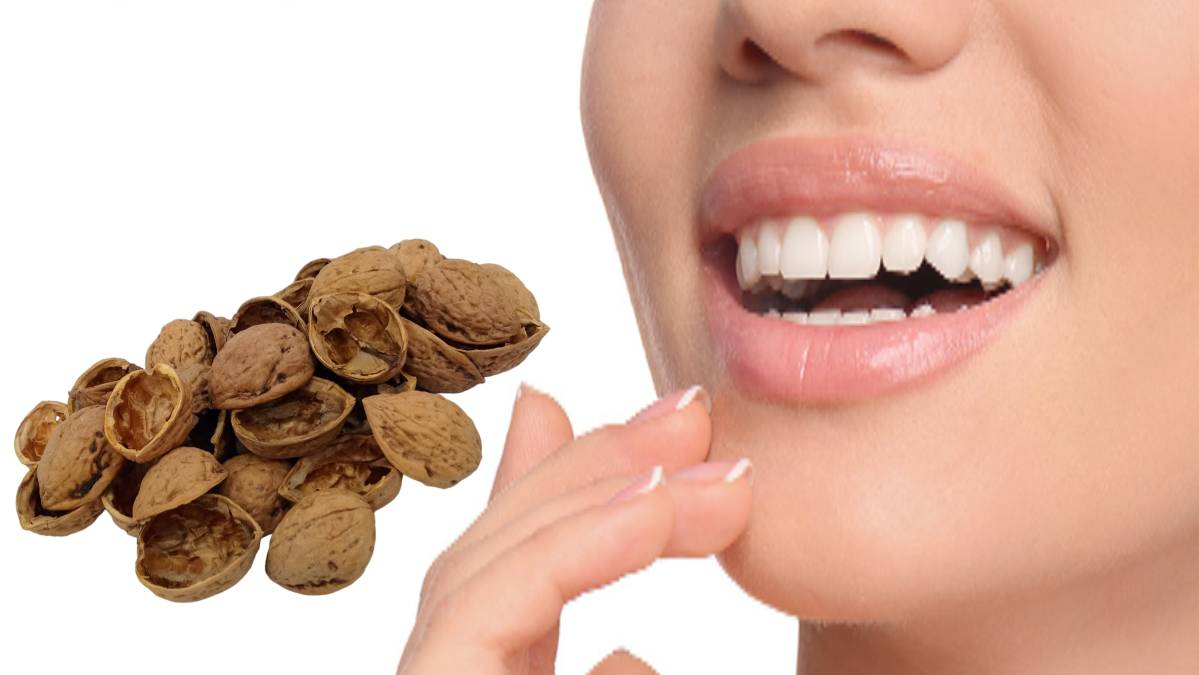 Ceviz kabuğunu atanlar dizlerini dövecek! Meğer dişlerdeki mucizenin sırrı ondaymış…