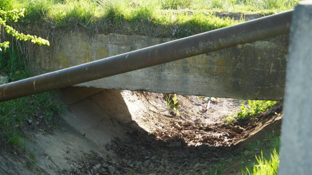 Kastamonu'da sulama kanalında başı kesilmiş ceset bulundu