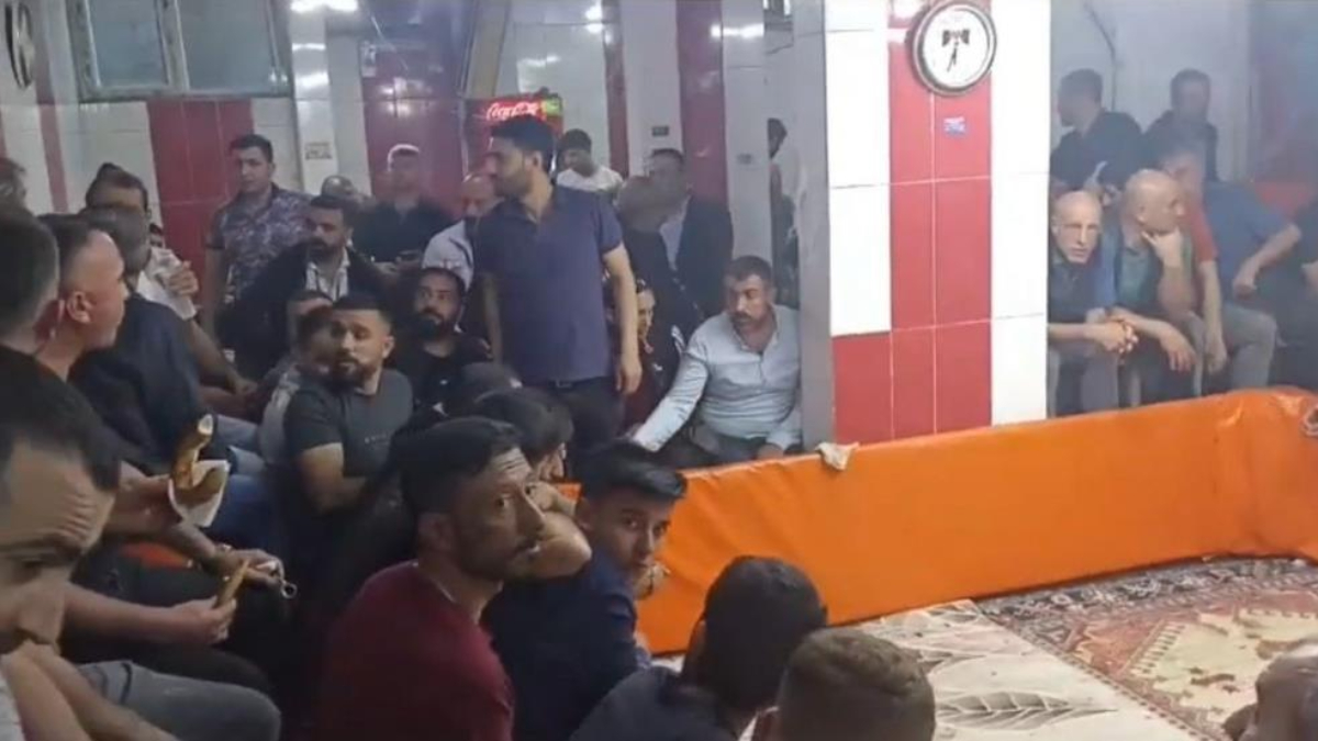 Diyarbakır'da Horoz Koruma Derneği'ne horoz dövüşü' operasyonu