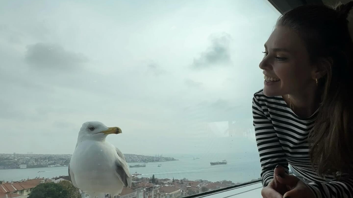 Oyuncu Aslı Enver 41 oldu! Doğum günü karelerine yorum yağdı Oyuncu Aslı Enver 41 oldu! Doğum günü karelerine yorum yağdı