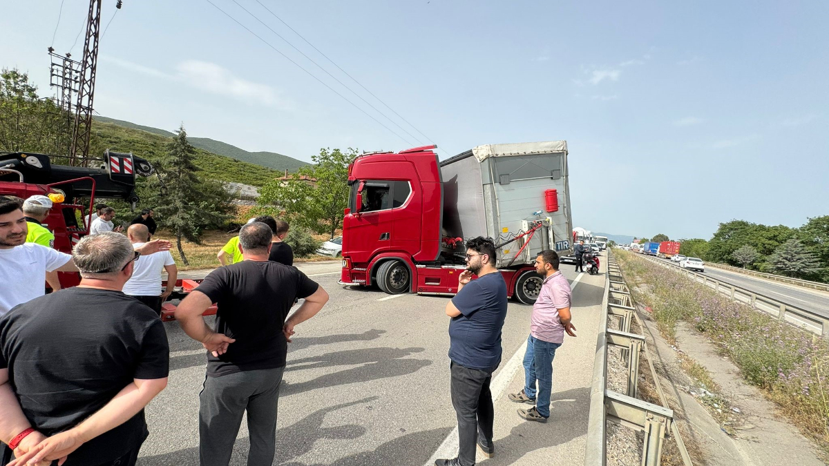 Bursa’da arı ısırdı, sürücü şoka girdi