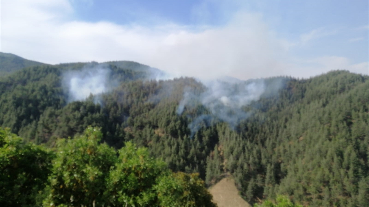 Kahramanmaraş’ta orman yangını