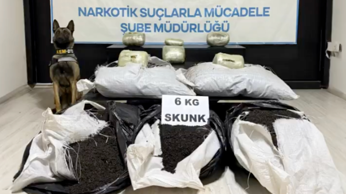 Hakkari’de 6 kiloluk sentetik uyuşturucu kargoda ele geçirildi