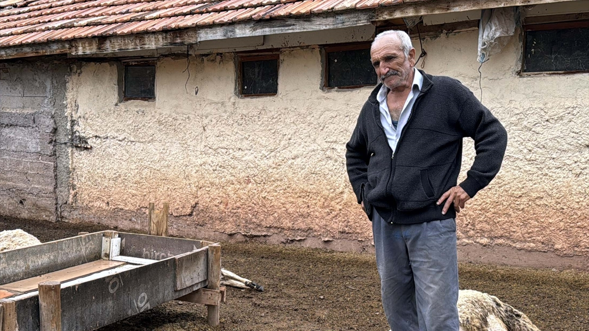 Kırıkkale’de kurtlar ağıla dadandı: 18 küçükbaş telef oldu
