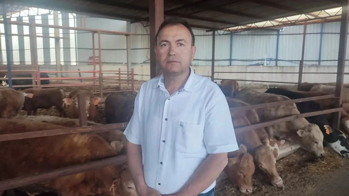 Manisa’da fotoğrafını çekmek istediği kurbanlık saldırdı