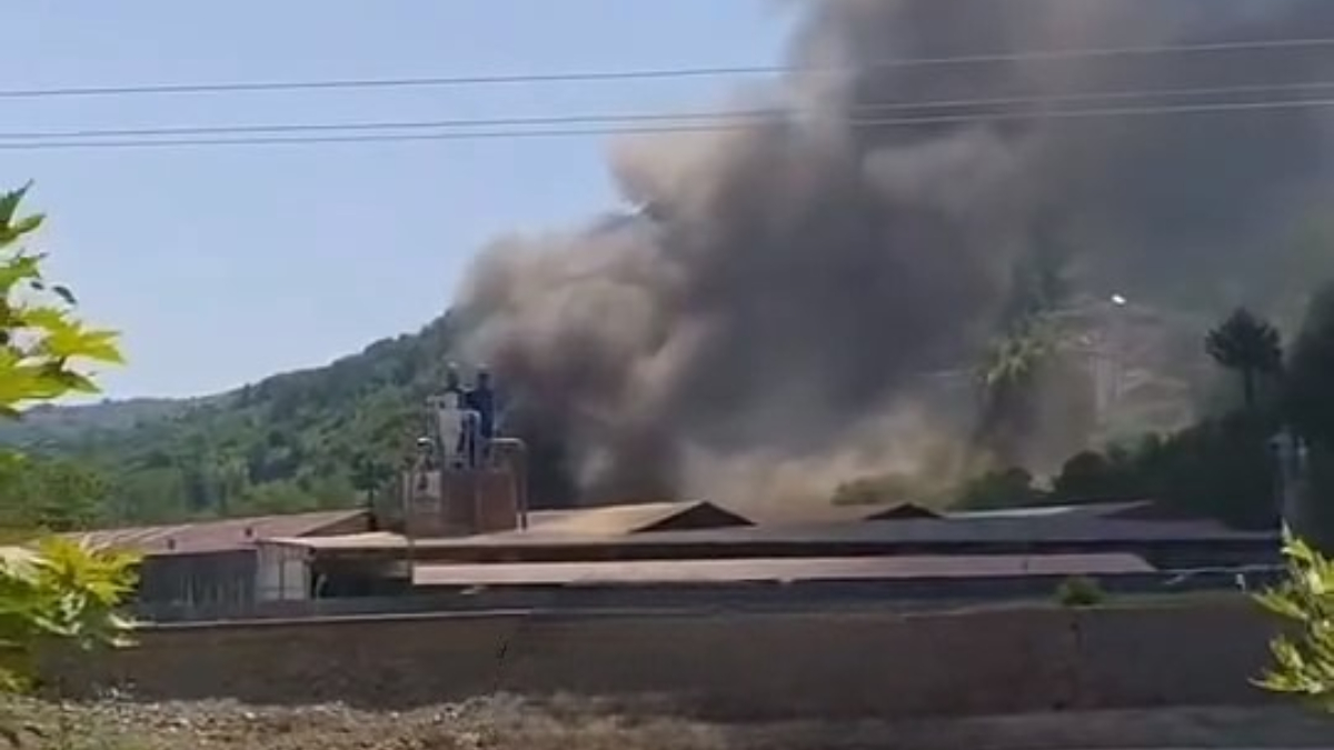 Sinop’ta kereste fabrikasında yangın