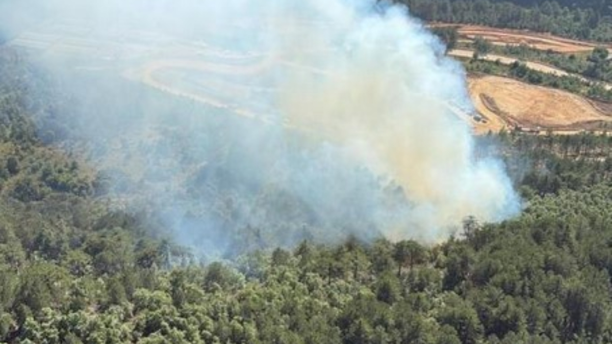 Balıkesir’de orman yangını Balıkesir’de orman yangını