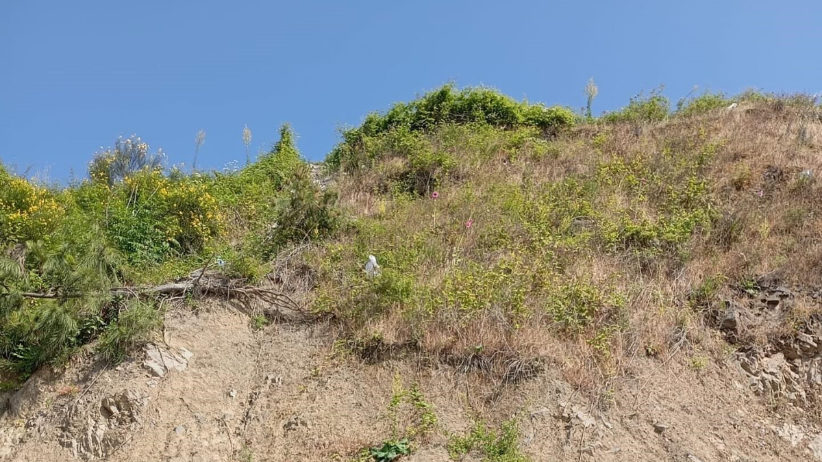 Zonguldak’ta yürüyüş yapan kadın uçurumdan düştü