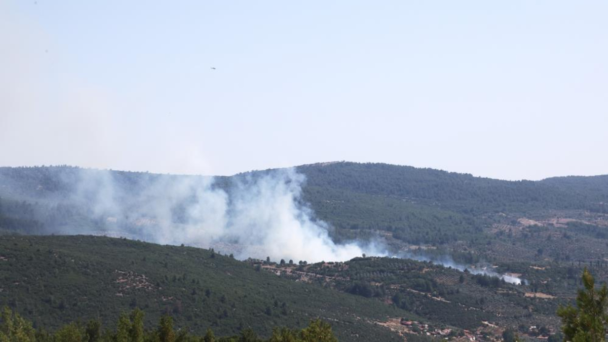 Muğla’da çıkan yangın söndürüldü – Ensonhaber