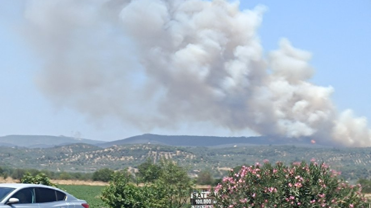 İzmir’in Foça ilçesinde çıkan yangına müdahale ediliyor
