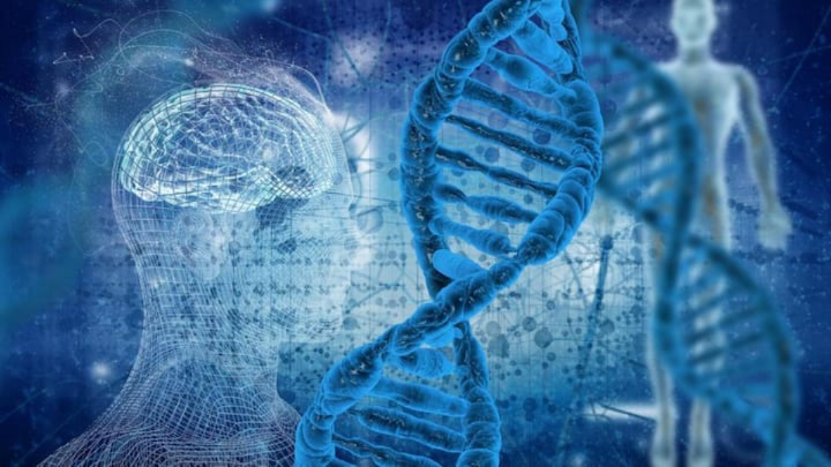 Bilim insanları, sıfırdan insan DNA’sı üretmek istiyor