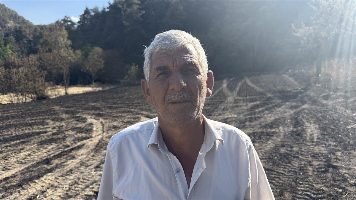 Sakarya’daki yangında zarar gören çiftçi: Acım gerçekten çok büyük