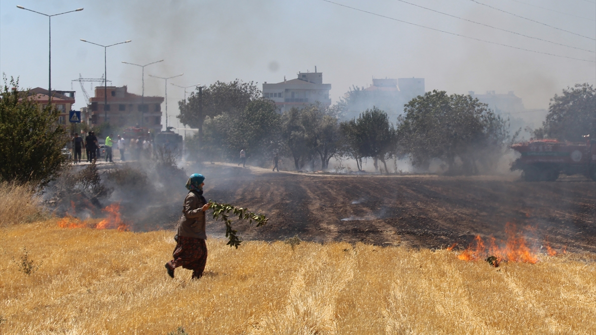 Çanakkale’de otluk alanda çıkan yangında son durum