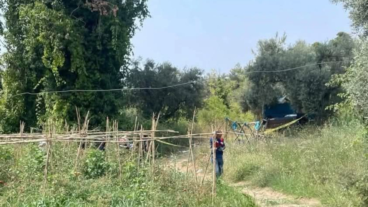 Aydın domuz nöbetine çıkan çiftçi, tarlasına ölü bulundu
