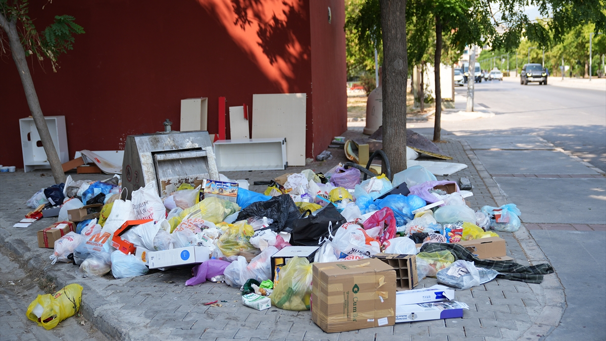 İzmir’de çöp dağları isyan ettirdi: Her yerde böcekler var