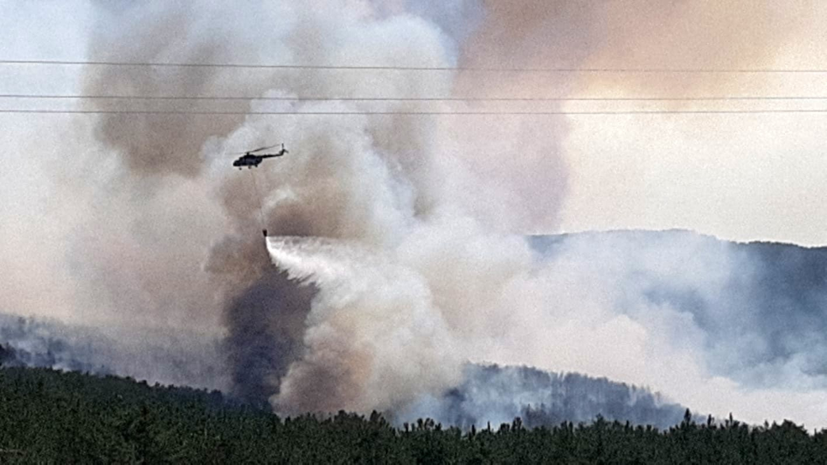 Bolu'da arazide çıkan yangın ormanlık alana sıçradı