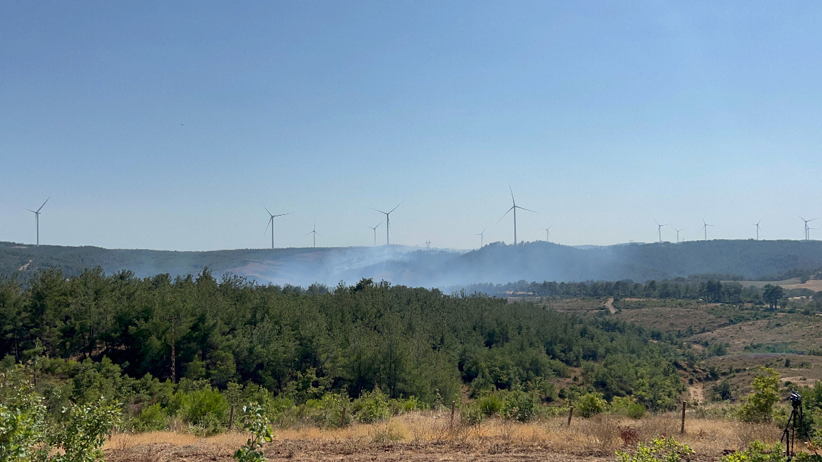 Çanakkale’deki orman yangınında son durum