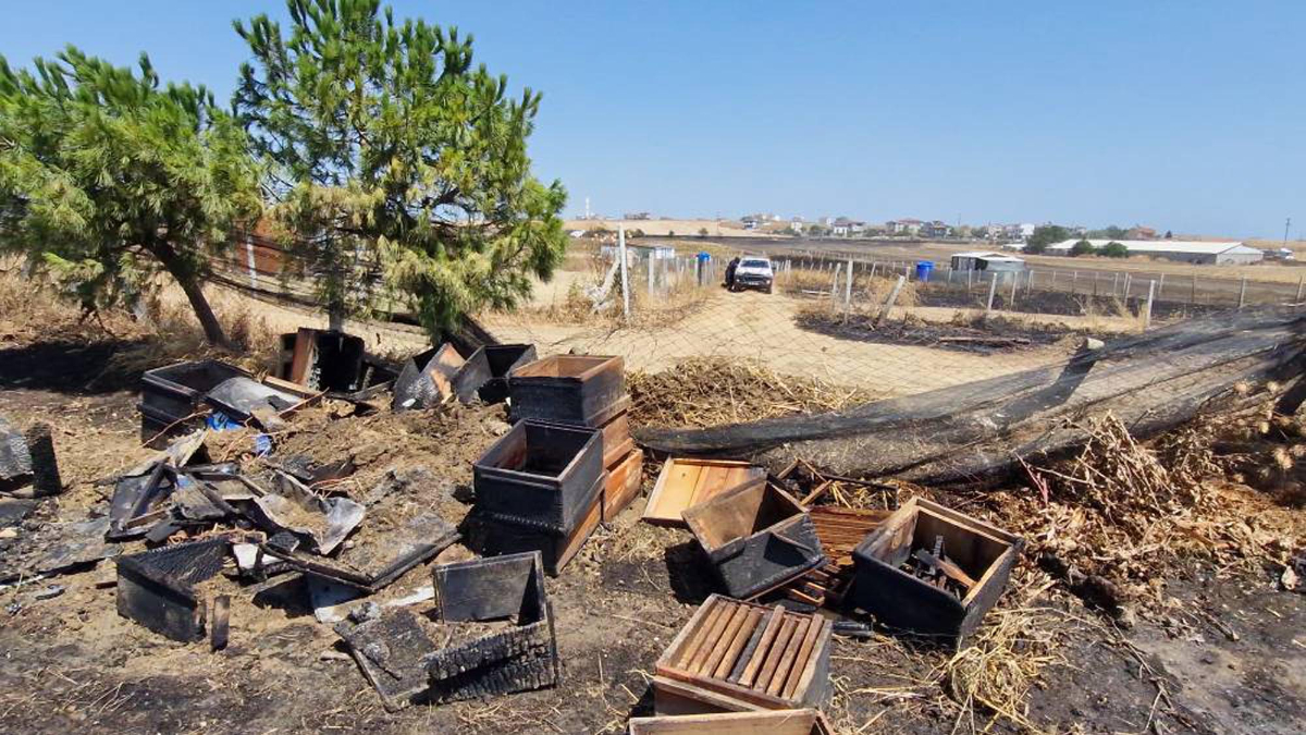 Tekirdağ'daki yangında arı kovanları zarar gördü